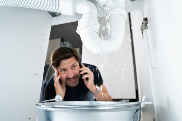 Best Plumbing Services Near Me  in Berkley, MI