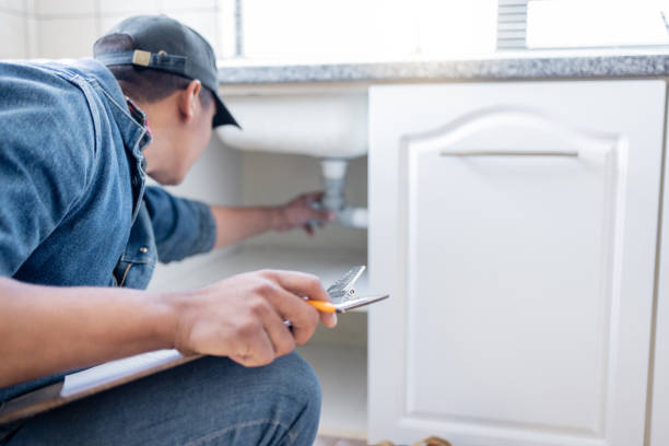 Best Affordable Plumbing Services  in Berkley, MI