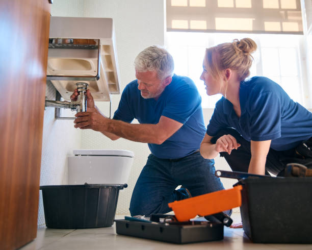 Best Emergency Plumber  in Berkley, MI